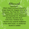 Blemish Oily Skin Regimen - Image 3