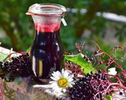Brew-It-Yourself Pure Elderberry Syrup - Image 4